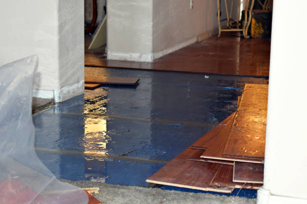 Professional Flood Damage Restoration technician working in North Fairfield, OH